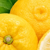 Yuzu Squash - Цитрусовый микс
